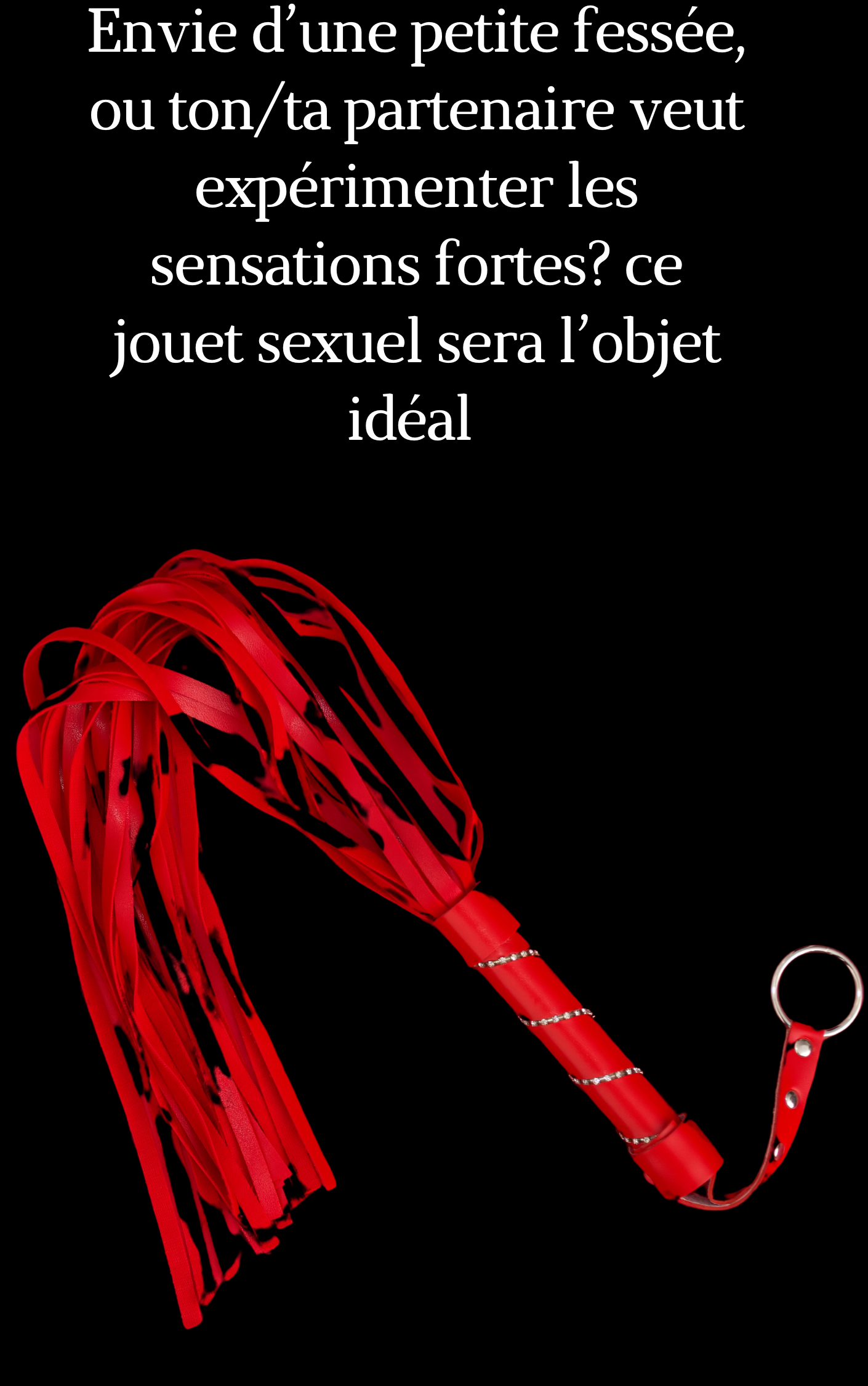 Le fouet sextoy